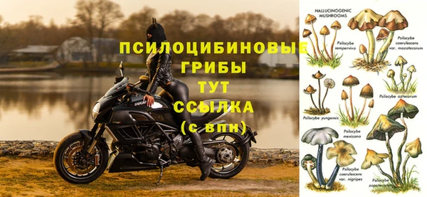экстази Медвежьегорск