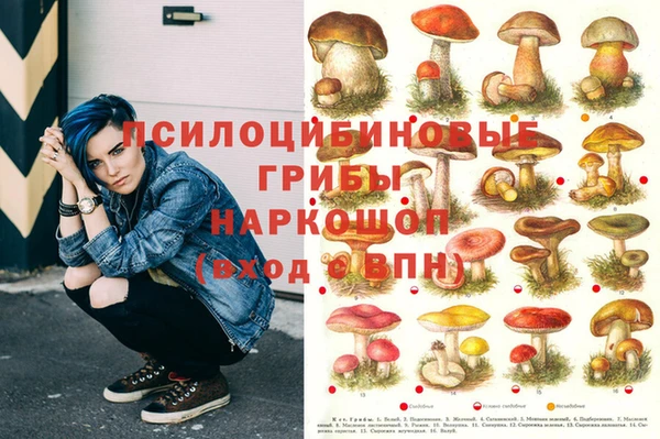 экстази Медвежьегорск