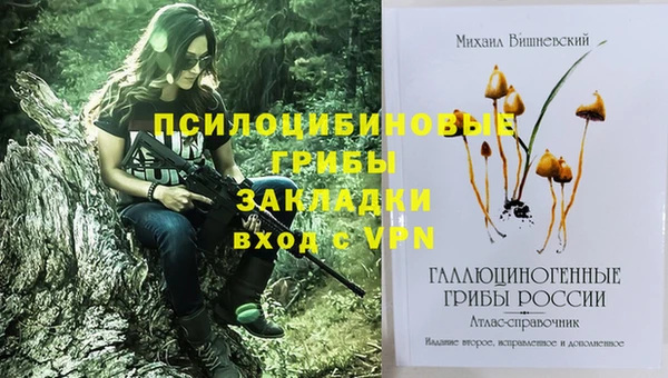 экстази Медвежьегорск