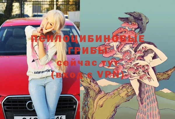 мяу мяу мука Мегион