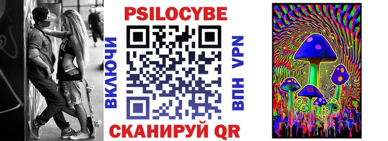 Купить где  Сусуман  Псилоцибиновые грибы Psilocybe 
